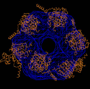 figtutmulti2